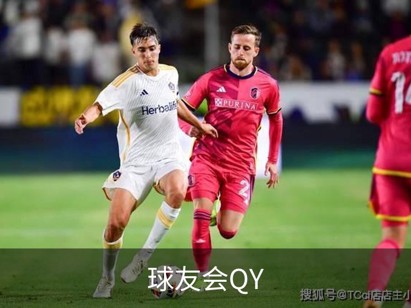 球友会QY介绍