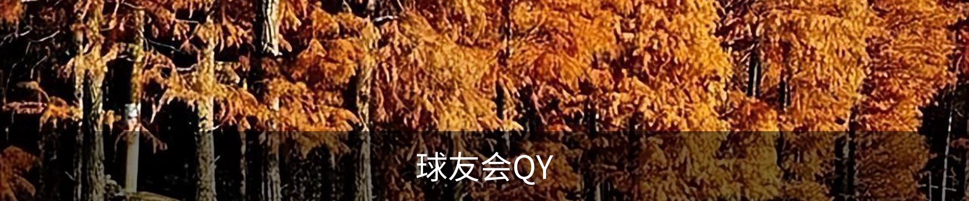 QY球友会体育·(千亿)官方网站
